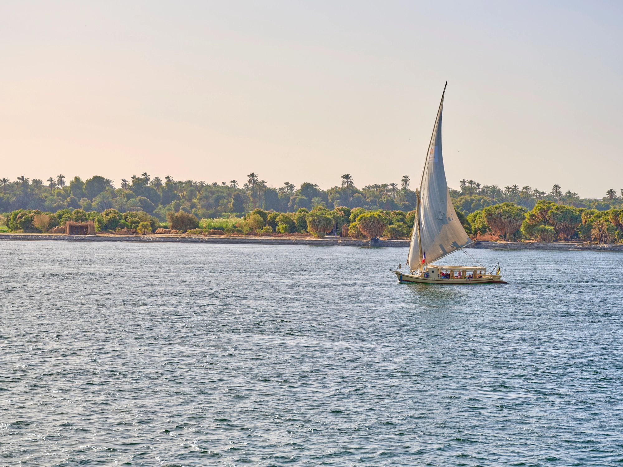 Traditional felucca sailing on the Nile near Luxor